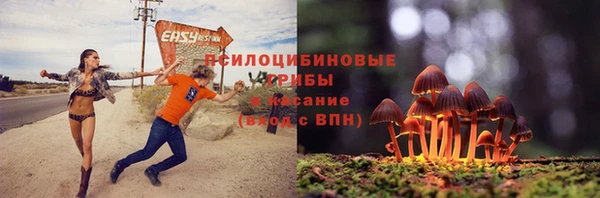 мдпв Вязники